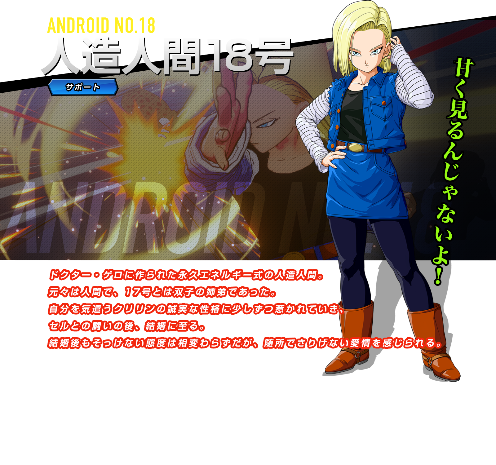 人造人間18号